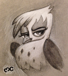 Size: 630x704 | Tagged: safe, artist:mcponyponypony, derpibooru import, gilda, griffon, charcoal drawing, solo, traditional art