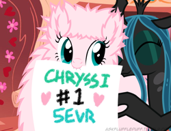 Size: 650x500 | Tagged: safe, artist:mixermike622, queen chrysalis, oc, oc:fluffle puff, changeling, changeling queen, female, horn