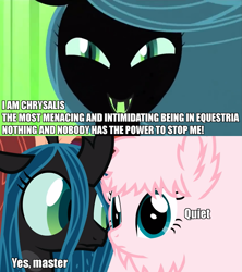 Size: 1037x1168 | Tagged: safe, queen chrysalis, oc, oc:fluffle puff, changeling, changeling queen, image macro, pet