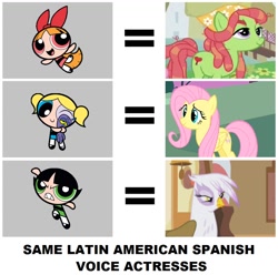 Size: 898x890 | Tagged: safe, artist:3d4d, derpibooru import, fluttershy, gilda, tree hugger, griffon, blossom (powerpuff girls), bubbles (powerpuff girls), buttercup (powerpuff girls), cristina hernandez, exploitable meme, latin american, maggie vera, meme, rossy aguirre, same voice actor, spanish, the powerpuff girls, voice actor