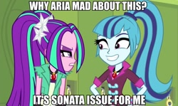 Size: 917x545 | Tagged: safe, aria blaze, sonata dusk, equestria girls, rainbow rocks, carlos, female, gem, image macro, meme, pun, puns in the comments, reaction image, siren gem