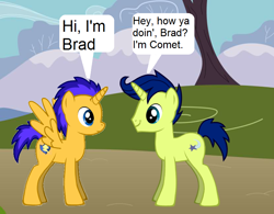 Size: 830x648 | Tagged: safe, artist:3d4d, comet tail, flash sentry, pegasus, pony, pony creator, brad, text