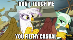 Size: 634x350 | Tagged: safe, derpibooru import, edit, screencap, gilda, greta, griffon, the lost treasure of griffonstone, casual, female, filthy casual, image macro, meme