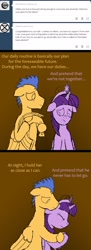 Size: 1000x2757 | Tagged: safe, flash sentry, twilight sparkle, twilight sparkle (alicorn), alicorn, pony, askdarktwiflash, comic, female, flashlight, hug, male, mare, sad, shipping, straight, tumblr