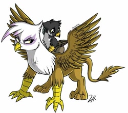 Size: 800x711 | Tagged: safe, artist:shimazun, derpibooru import, gilda, oc, oc:phaenon, classical hippogriff, griffon, hippogriff, angry, female, frown, glare, griffons riding griffons, mama bear, mother and child, mother and son, offspring, parent and child, parent:gilda, parent:thunderlane, parents:gildalane, sad, scared, simple background, spread wings, white background