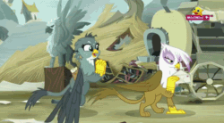 Size: 852x471 | Tagged: safe, derpibooru import, screencap, gabby, gilda, griffon, the fault in our cutie marks, animated, cute, gabbybetes, gif, griffonstone, minimini, ponytail