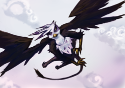 Size: 1000x707 | Tagged: safe, artist:maximlardinois, derpibooru import, gilda, griffon, flying, solo