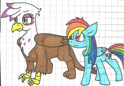 Size: 1004x694 | Tagged: safe, artist:cmara, derpibooru import, gilda, rainbow dash, griffon, pegasus, pony, graph paper, traditional art