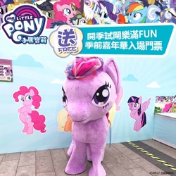 Size: 1000x1000 | Tagged: safe, derpibooru import, cranky doodle donkey, gilda, pinkie pie, twilight sparkle, twilight sparkle (alicorn), alicorn, griffon, cardboard twilight, chinese, friendship run, hong kong, irl, my little pony logo, photo, quadsuit, special face, stock vector