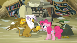 Size: 1916x1072 | Tagged: safe, derpibooru import, screencap, gilda, pinkie pie, earth pony, griffon, pony, the lost treasure of griffonstone, book, bookshelf, butt, claws, confused, customer, demanding, duo, female, griffonstone, mare, narrowed eyes, open mouth, paws, pay up, plot, scone, sin of greed, sitting, spread wings, talking, talons, wings