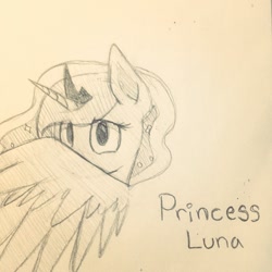 Size: 640x640 | Tagged: safe, artist:iceieh, princess luna, alicorn, pony, monochrome, shy, solo, traditional art