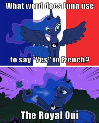 Size: 500x622 | Tagged: safe, princess luna, alicorn, pony, bad pun, flag, france, french, meme, pun, royal we