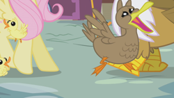 Size: 1280x720 | Tagged: safe, derpibooru import, screencap, fluttershy, gilda, duck, griffon, pegasus, pony, griffon the brush off