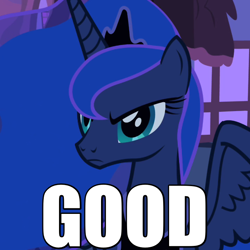 Size: 720x720 | Tagged: safe, edit, edited screencap, screencap, princess luna, alicorn, pony, luna eclipsed, caption, frown, glare, grumpy, grumpy cat, image macro, meme, reaction image, solo