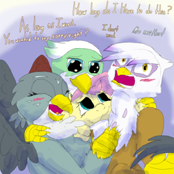 Size: 1584x1584 | Tagged: safe, artist:firefanatic, derpibooru import, fluttershy, gabby, gilda, greta, griffon, pegasus, pony, unicorn, :3, blushing, chest feathers, chest fluff, cute, dialogue, embarrassed, griffon trio, group hug, hug, smiling