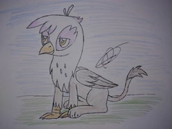 Size: 4032x3024 | Tagged: safe, artist:darthalex70, derpibooru import, gilda, griffon, bird day, simple background, solo, traditional art