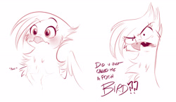 Size: 5115x2976 | Tagged: safe, artist:imalou, derpibooru import, gilda, griffon, /mlp/, 4chan, angry, birb, blushing, bust, chest fluff, cute, dialogue, drawthread, female, gildadorable, madorable, monochrome, simple background, sketch, solo, swearing, text, vulgar, white background
