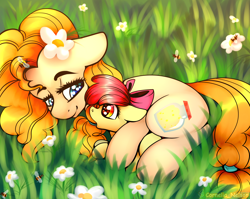Size: 3000x2388 | Tagged: safe, alternate version, artist:cornelia_nelson, apple bloom, pear butter, bee, earth pony, pony, adorabloom, bow, cute, duo, female, filly, floppy ears, flower, flower in hair, grass, hair bow, looking at each other, mare, mother and child, mother and daughter, parent and child, pearabetes, weapons-grade cute
