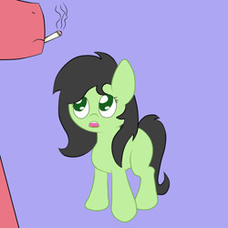 Size: 750x750 | Tagged: safe, artist:happy harvey, oc, oc only, oc:anon, oc:anon filly, pony, cigarette, female, filly, male, smoking, stallion