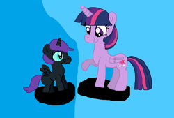 Size: 1024x694 | Tagged: safe, twilight sparkle, twilight sparkle (alicorn), oc, oc:nyx, alicorn, pony, female, mare