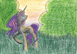 Size: 1631x1159 | Tagged: safe, artist:middledreamer, oc, oc only, oc:nyx, alicorn, pony, alicorn oc, solo