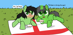 Size: 2788x1348 | Tagged: safe, artist:neuro, anon pony, oc, oc:anon filly, earth pony, pony, unicorn, blushing, cup, duo, female, filly, flag, food, tea, teacup, text