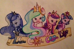 Size: 2304x1536 | Tagged: safe, artist:rarityforever, princess cadance, princess celestia, princess luna, twilight sparkle, twilight sparkle (alicorn), alicorn, dog, alicorn tetrarchy, fangs, simple background, species swap, sunmutt, traditional art, twilight barkle