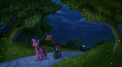 Size: 2000x1100 | Tagged: safe, artist:emeraldgalaxy, twilight sparkle, oc, oc:nyx, alicorn, pony, alicorn oc, book, magic, night, scenery