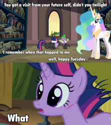 Size: 960x1080 | Tagged: safe, princess celestia, spike, twilight sparkle, alicorn, dragon, pony, double macro, image macro