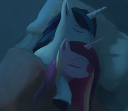 Size: 940x819 | Tagged: safe, artist:raikoh, princess cadance, shining armor, alicorn, pony, unicorn, female, male, shiningcadance, shipping, sleeping, straight