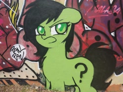 Size: 4000x3000 | Tagged: safe, artist:killasher, oc, oc:anon filly, earth pony, pony, angry, cute, female, filly, fluffy, graffiti, irl, looking at you, photo, solo