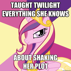 Size: 600x600 | Tagged: safe, princess cadance, twilight sparkle, alicorn, pony, advice meme, bust, crown, female, horn, image macro, jewelry, looking at you, mare, meme, multicolored mane, pink coat, regalia, simple background, smiling, solo, text, wings