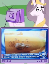 Size: 539x696 | Tagged: safe, princess celestia, alicorn, pony, spider, banana, exploitable meme, meme, news, obligatory pony, princess molestia, tv meme, why