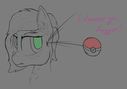 Size: 1913x1333 | Tagged: safe, artist:enragement filly, oc, oc:anon filly, pony, faggot, female, filly, movie reference, pokéball, pokémon, slur, vulgar