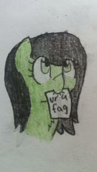 Size: 720x1280 | Tagged: artist needed, safe, oc, oc only, oc:anon filly, earth pony, pony, bust, chest fluff, faggot, female, filly, looking up, mouth hold, paper, sketch, slur, traditional art, ur a faget, vulgar