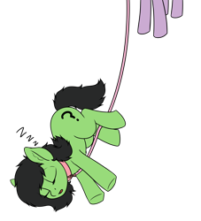 Size: 3000x3300 | Tagged: safe, artist:smoldix, twilight sparkle, oc, oc:anon filly, pony, collar, eyes closed, female, filly, leash, offscreen character, on side, onomatopoeia, ponified animal photo, pony pet, sleeping, solo focus, sound effects, underhoof, zzz