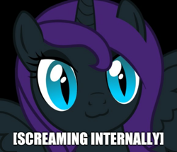 Size: 1253x1080 | Tagged: artist needed, safe, editor:apex soundwave, oc, oc only, oc:nyx, alicorn, pony, alicorn oc, black background, bust, cat eyes, cat face, cute, female, image macro, implied screaming, internal screaming, mare, reaction image, simple background, slit eyes, solo, text