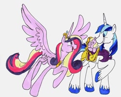 Size: 900x720 | Tagged: safe, artist:frankilew, princess cadance, shining armor, oc, alicorn, pony, unicorn, family, female, foal, male, offspring, parent:princess cadance, parent:shining armor, parents:shiningcadance, shiningcadance, shipping, straight