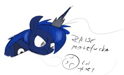 Size: 907x551 | Tagged: safe, artist:irwin, princess luna, alicorn, pony, female, horn, mare, solo, vulgar