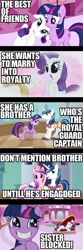 Size: 500x1506 | Tagged: safe, princess cadance, rarity, shining armor, twilight sparkle, alicorn, pony, unicorn, comic, little sister