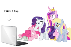 Size: 863x571 | Tagged: safe, derpy hooves, pinkie pie, princess cadance, rarity, alicorn, pegasus, pony, unicorn, 2 girls 1 cup, computer, female, internet, laptop computer, mare, shocked