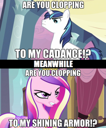 Size: 624x753 | Tagged: safe, princess cadance, shining armor, alicorn, pony, unicorn, angry, caption, image macro