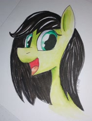 Size: 2017x2664 | Tagged: safe, artist:dreadlime, oc, oc only, oc:anon filly, earth pony, pony, female, filly, solo, traditional art, watercolor painting