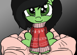 Size: 2100x1500 | Tagged: safe, artist:anon3mous1, oc, oc:anon filly, earth pony, human, pony, christmas, christmas sweater, clothes, cute, female, filly, holding a pony, holiday, sweater