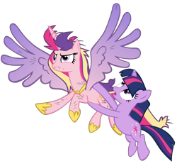 Size: 4000x3736 | Tagged: safe, artist:bronyboy, princess cadance, twilight sparkle, alicorn, pony, a canterlot wedding, simple background, transparent background, vector