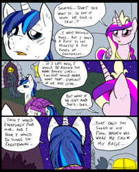 Size: 827x1025 | Tagged: safe, artist:metal-kitty, princess cadance, shining armor, alicorn, pony, unicorn, comic:mlp project, comic, injured, royal guard