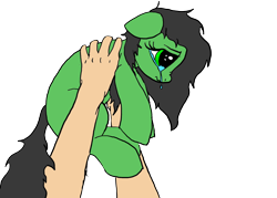 Size: 2100x1500 | Tagged: safe, artist:anon3mous1, oc, oc:anon filly, earth pony, human, pony, crying, cute, female, filly, hand, holding a pony, sad, simple background, transparent background