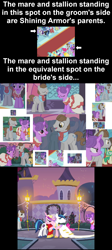 Size: 978x2190 | Tagged: safe, edit, edited screencap, screencap, applejack, fine line, maxie, night light, north star, pinkie pie, princess cadance, rainbow dash, rarity, sea swirl, seafoam, shining armor, star gazer, twilight velvet, alicorn, earth pony, pegasus, pony, unicorn, a canterlot wedding, sweet and elite, the best night ever, analysis, collage, family, headcanon, north star gazer, parent, ponies standing next to each other, wedding