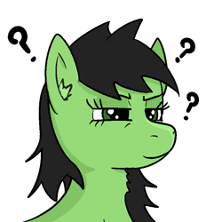 Size: 800x800 | Tagged: safe, artist:anonymous, oc, oc only, oc:anon filly, earth pony, pony, /mlp/, bust, ear fluff, female, filly, portrait, question mark, simple background, solo, transparent background