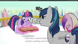 Size: 1920x1080 | Tagged: safe, screencap, princess cadance, shining armor, twilight sparkle, alicorn, pony, unicorn, the crystal empire, youtube caption